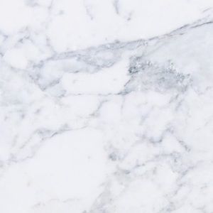 Meet your Posher, Audrey